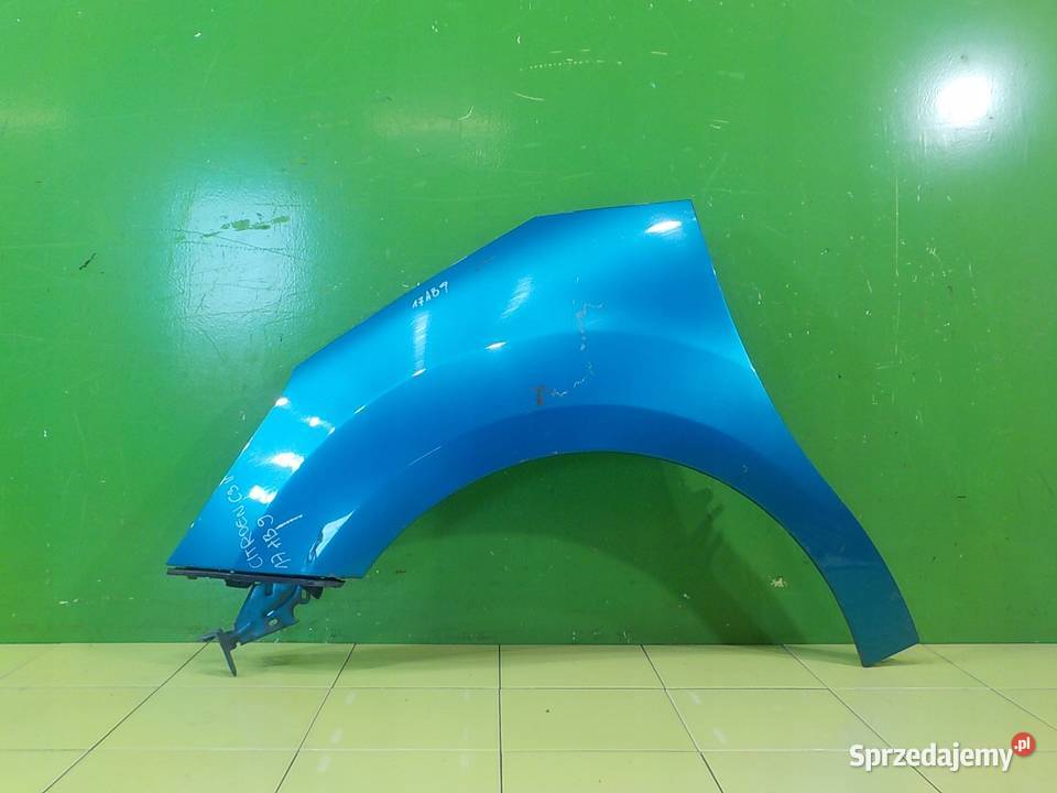 CITROEN C3 II 14 B 10r HB 5D blotnik lewy przod