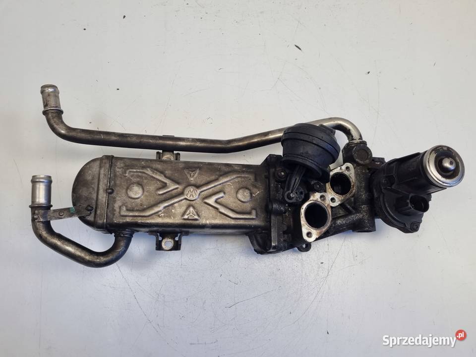 CHŁODNICA SPALIN EGR VW Golf VI A3 8P Octavia II Chełm