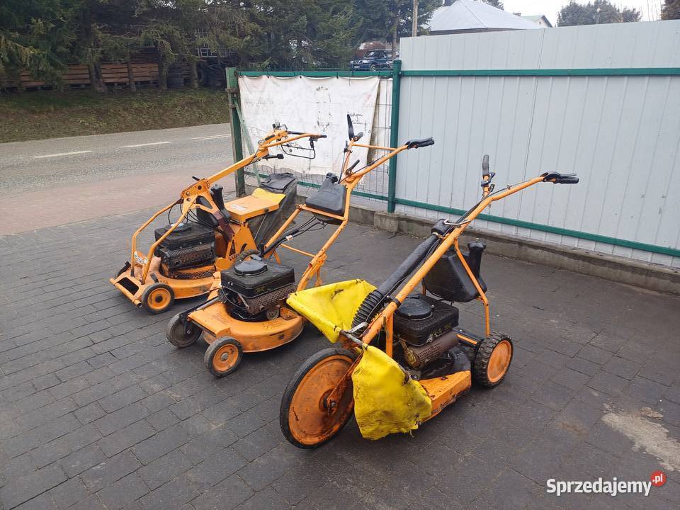 Kosiarka spalinowa as motors 2 sów na górki podkarpackie