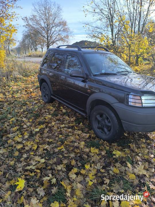 Sprzedam Landrover Freelander Freelander Trzcianka sprzedam