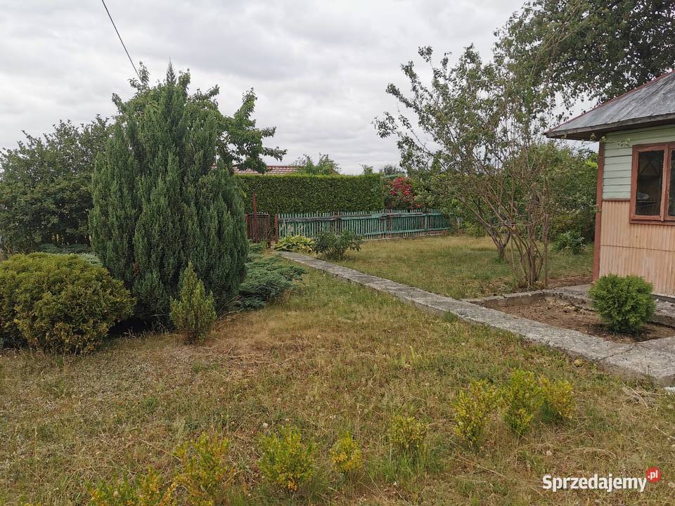 Działka rekreacyjna OR Lotnik Mielec 39zł/m2