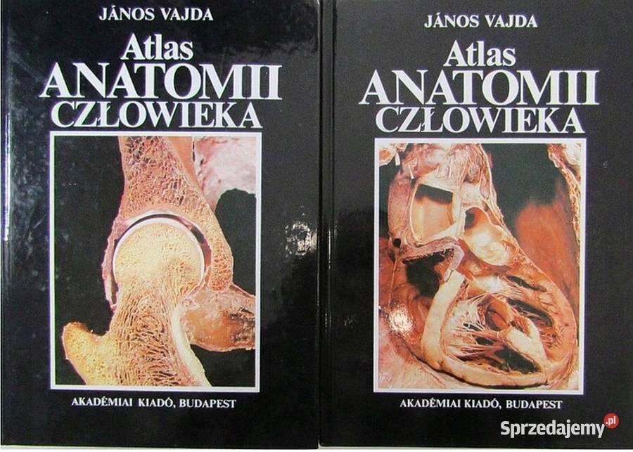 Atlas anatomii człowieka Vajda Janos medycyna, nauki medyczne Świdnica