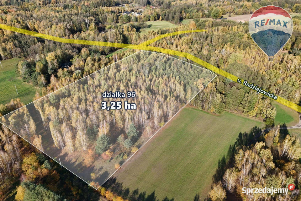 325ha wśród lasów Budy Michałowskie 250m sprzedam