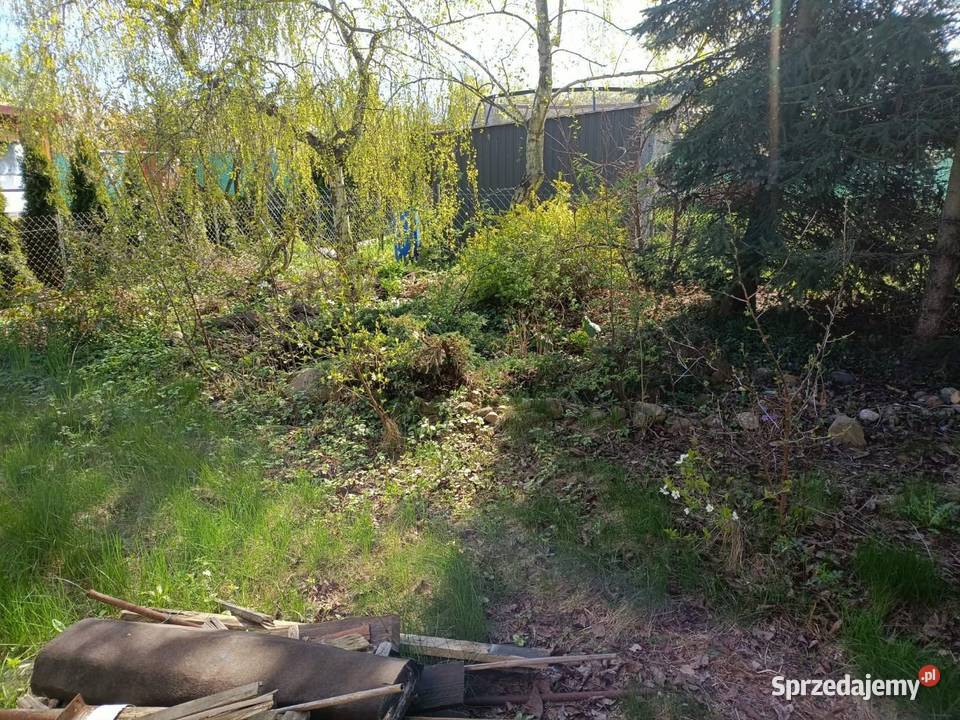Działka ROD Zduńska Wola 83zł/m2 łódzkie