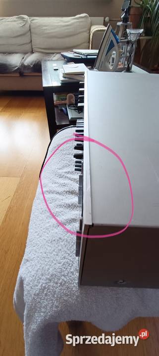 Korektor graficzny JVC SEA R7 Audio Poznań