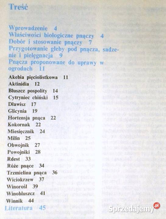 Pnącza ozdobne w domu Bluszcz powojnik lubelskie sprzedam