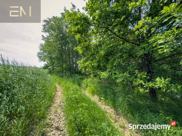 sprzedaży gruntu 4600m2 Szufnarowa Sprzedaż sprzedam