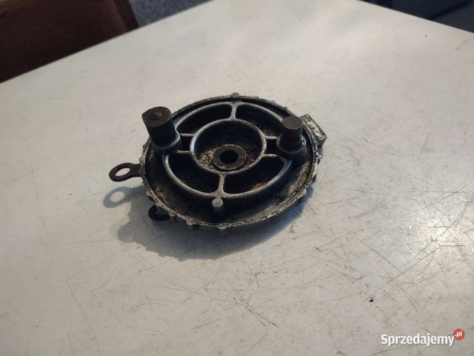 KOMAR RYŚ ŻAK DEKIEL PIASTY TYŁ PRL ZABYTEK lubelskie