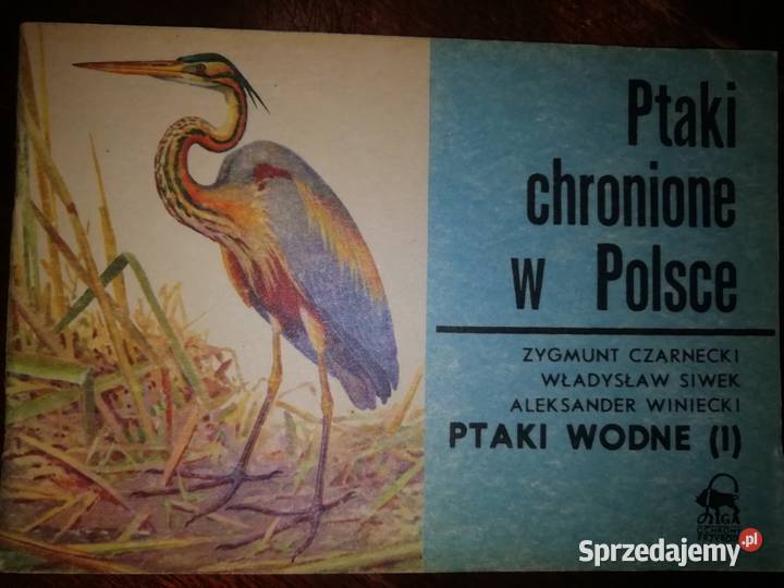 Ptaki chronione w Polsce Kraków