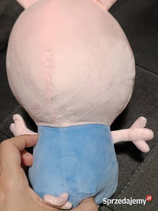 maskotki Świnki Peppy i jej młodszego brata Poznań