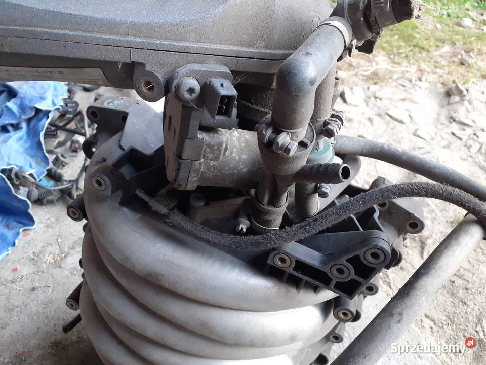 Kolektor ssący Audi A4 B5 28 v6 APR Grodzisko Górne sprzedam