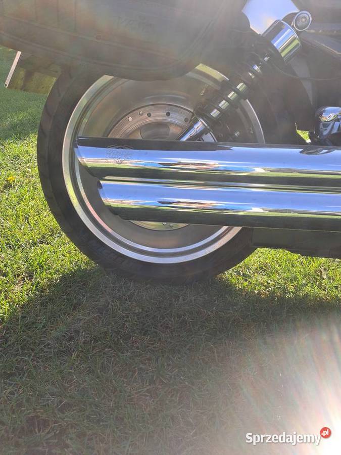 Harley davidson v rod Serniki