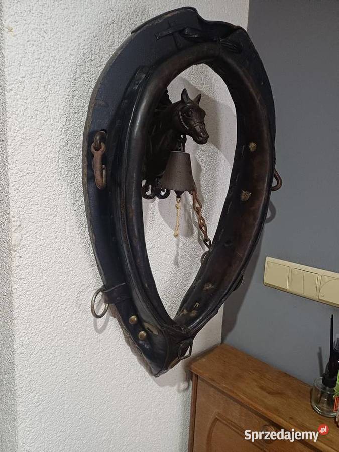 Homonto konia Nowy Tomyśl