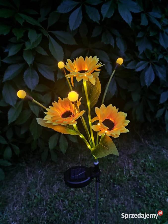 HIT Lata NOWA Lampki solarne LED słoneczniki z Lampy ogrodowe Blachownia sprzedam