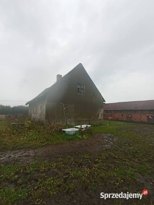 Sprzedam siedlisko z budynkami utwardzona Węgój