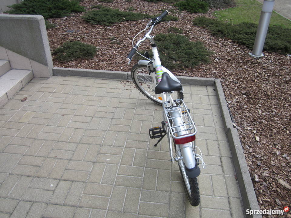 Rower Go Sport City 24