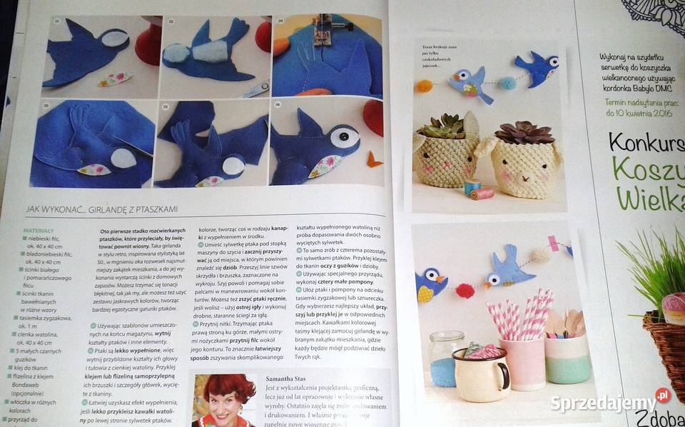 Mollie potrafi 2 14 2016 lubelskie Chełm