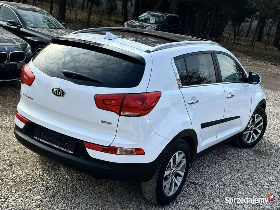 Kia Sportage klimatyzacja podlaskie Ignatki