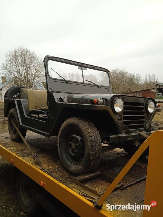 Ford MUTT M151 Willys Jeep Suwałki - Sprzedajemy.pl