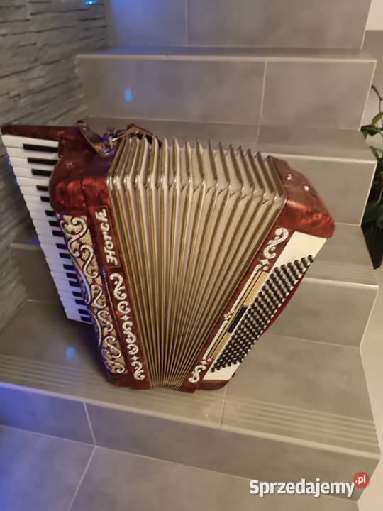Akordeon horch 120