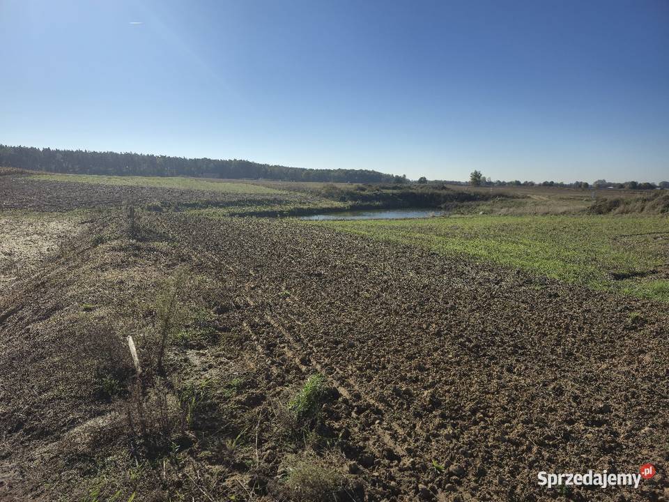 Działki budowlane Jankowo Dolne 5 min centrum 950m2 Gniezno
