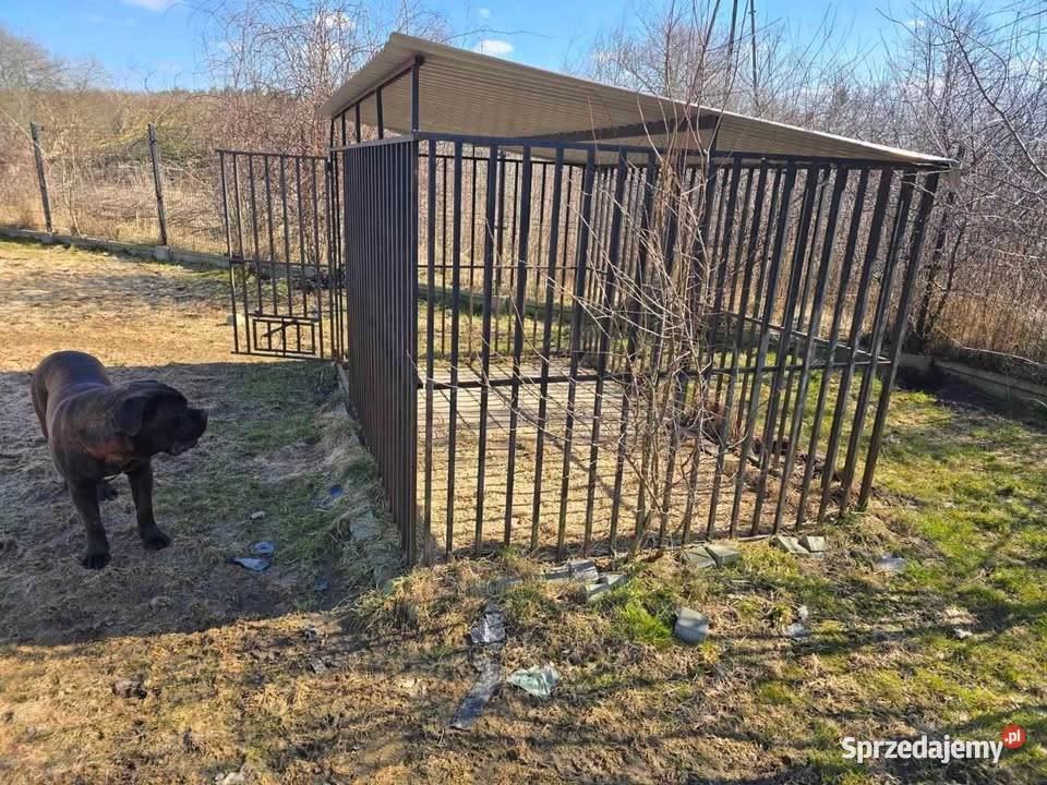 Kojec metalowy psa Zwierzęta