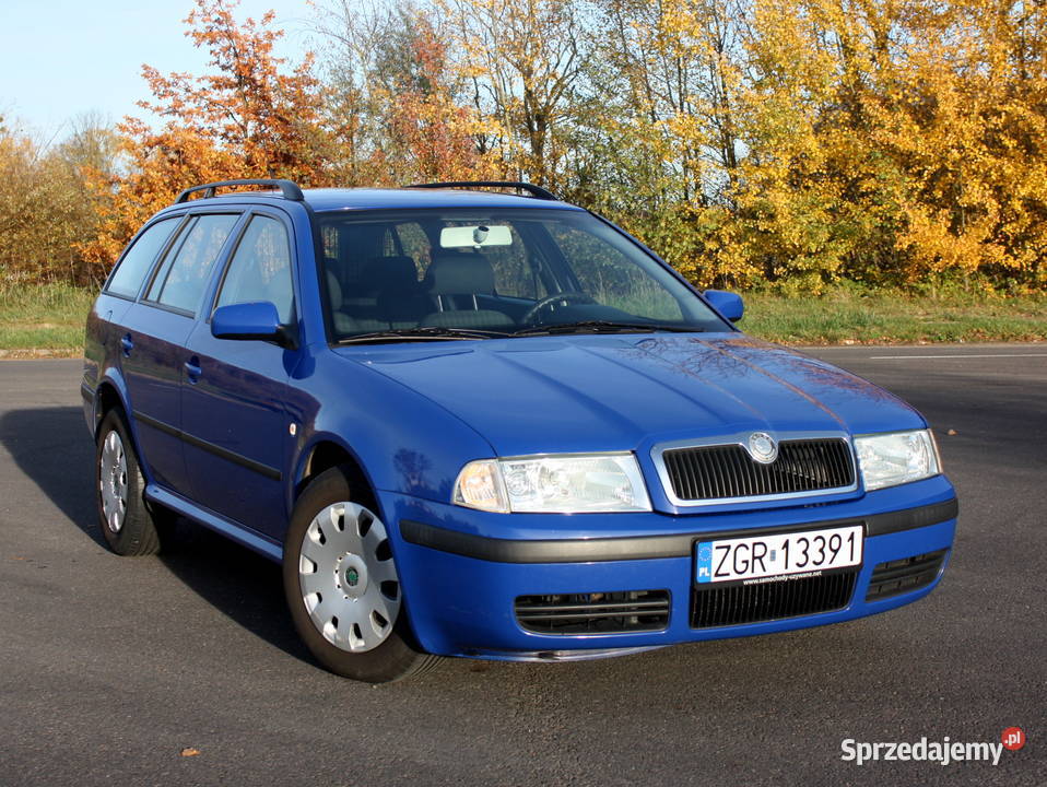 Skoda Octavia 19 TDI 07 KLIMA zarw zadbany