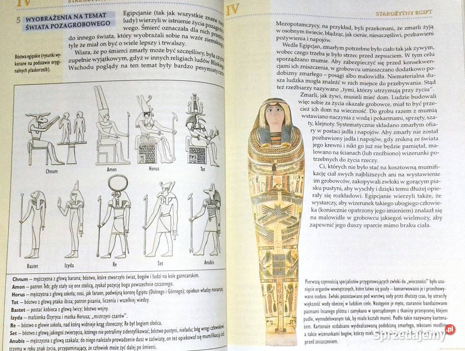 Historia 1 Starożytność cz1 Ewa Wipszycka Chełm
