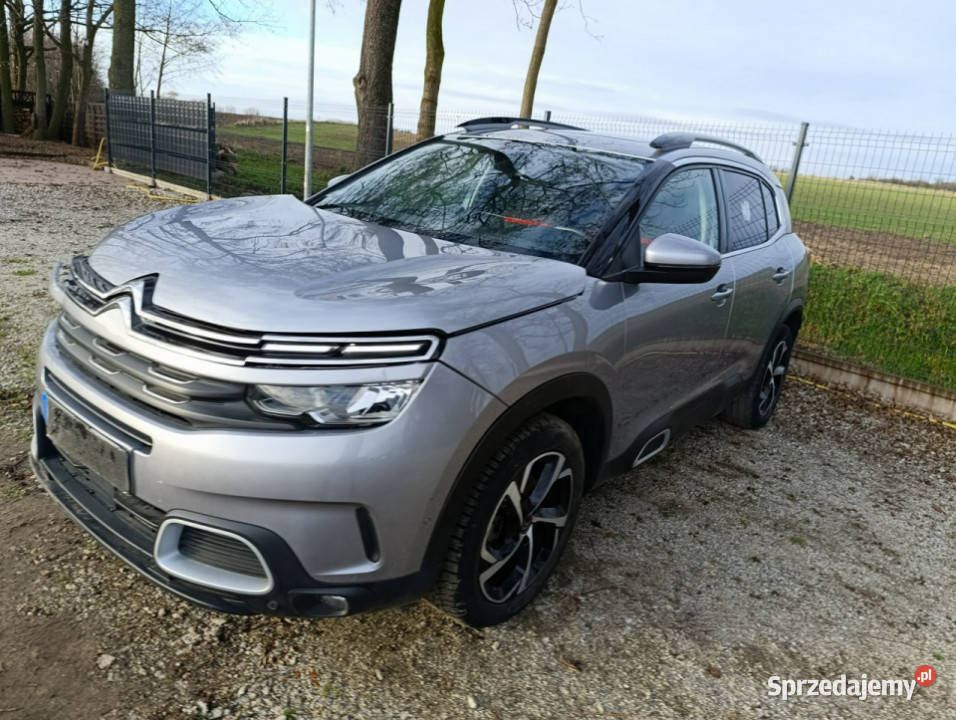 Citroen C5 Aircross Panirama virtual Citroën wielkopolskie