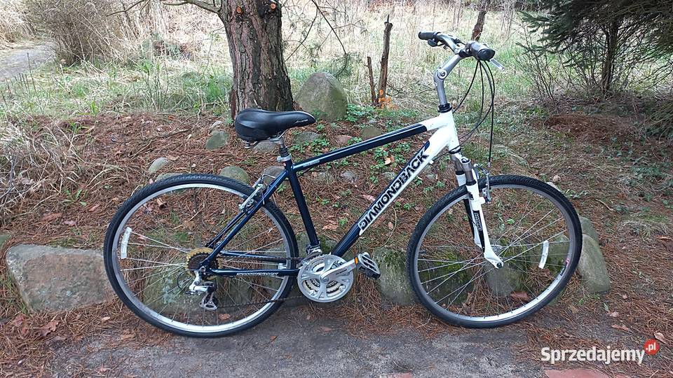 Alu Rower Miejski Cross Diamondback Edgewood 3x7 Wołów