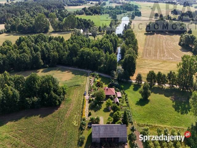 Dom z klimatem działka 30 arów spokojna okolica wolnostojący wielkopolskie Myśliborskie Holendry