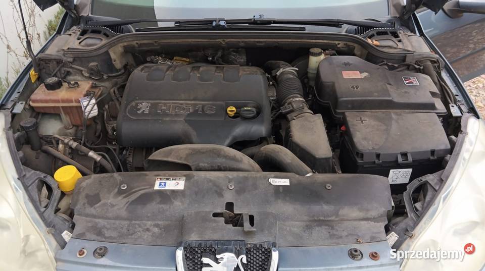 Peugeot 407sw 20 hdi kujawsko-pomorskie Radziejów