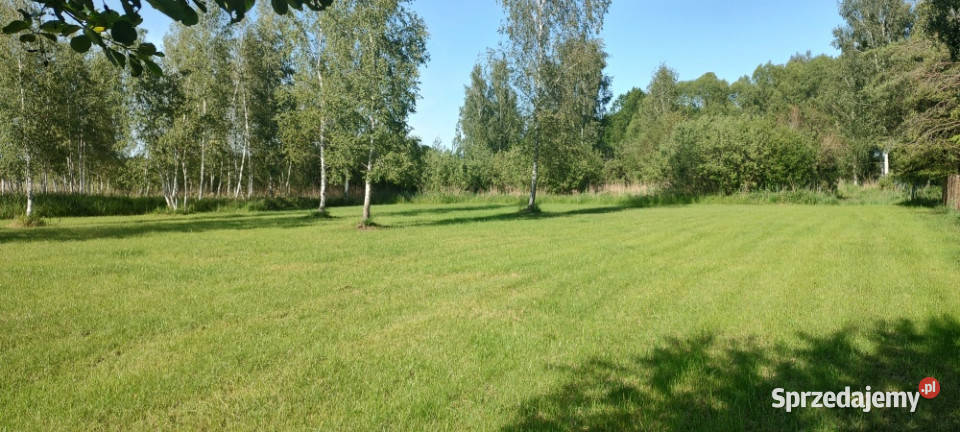 MAZURY Działka jeziorem Roś z dostępem do linii Szczechy Małe sprzedam