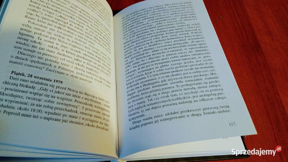 Dziennik z Paltinisu pajdeja jako model w Gdańsk