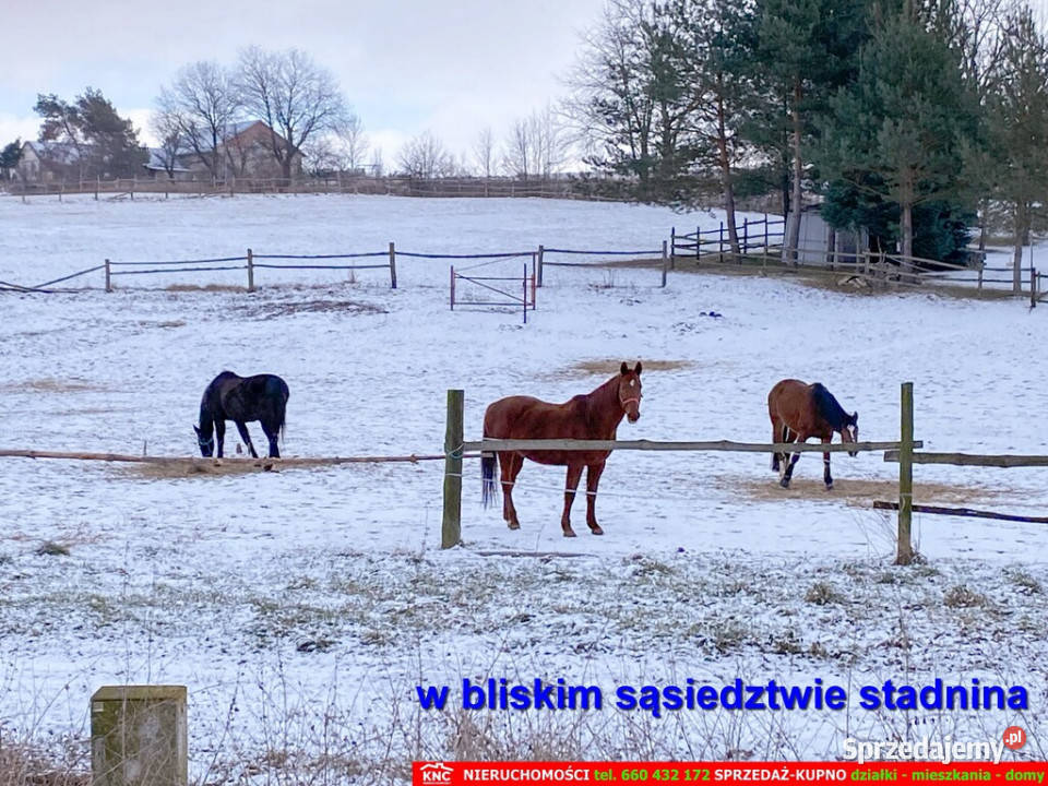Siedlisko na wsi 35 Lublina Sprzedaż Sprzedaż
