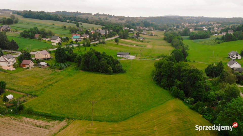 Działka budowlana Sprzedaż Gromnik Polska 12300m2 Siemiechów