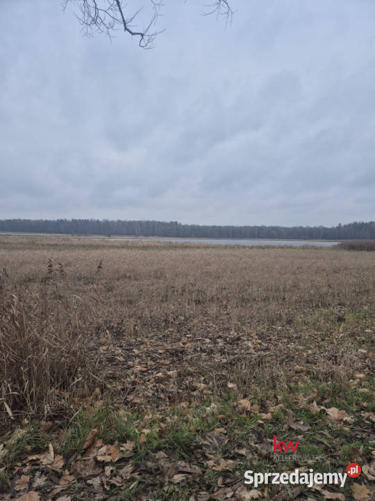 Dom wolnostojący Wyry 2352m2