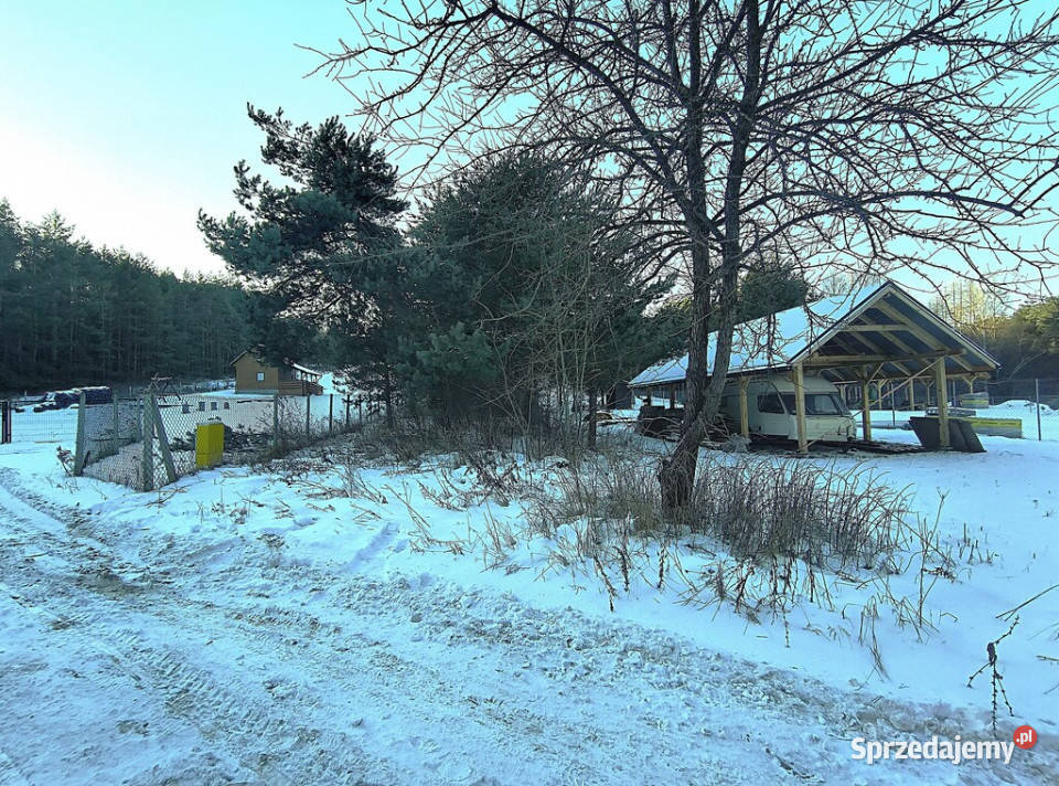 Krasnobród działka lesie