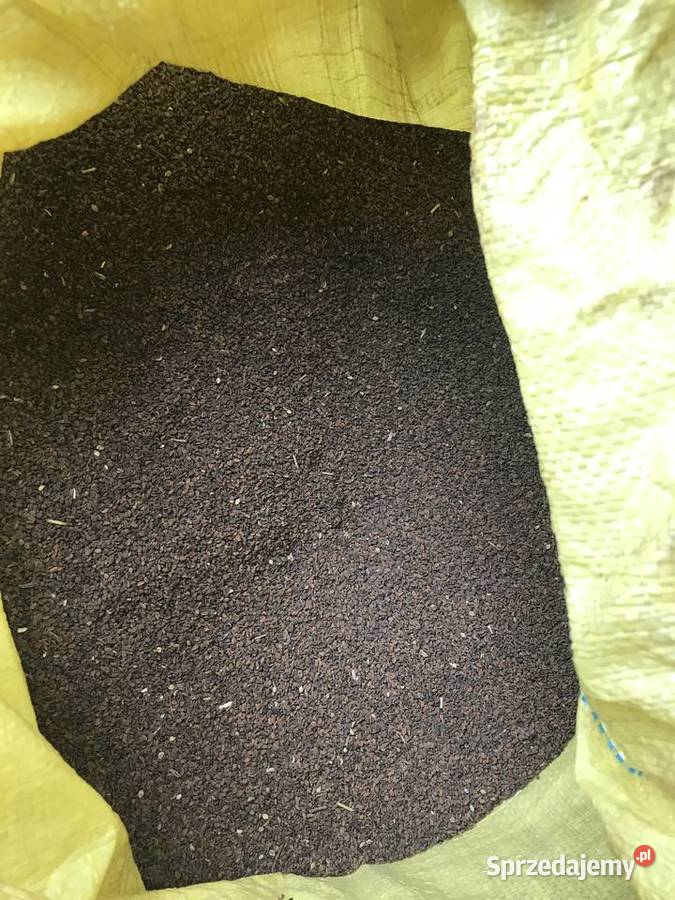 Facelia 15zl Biała Podlaska