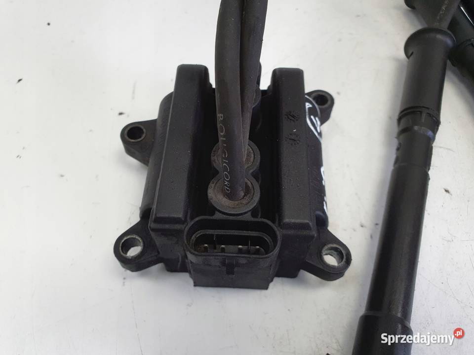 Renault Clio II 12 16V CEWKA ZAPŁONOWA lubelskie Janów