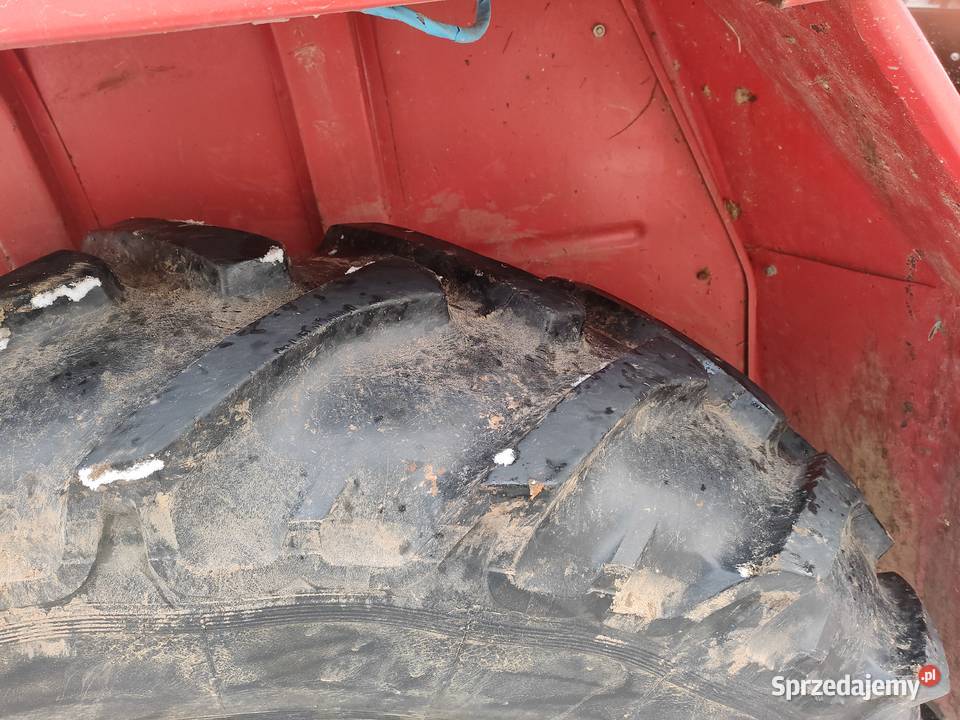 Massey Ferguson 255 Gorlice