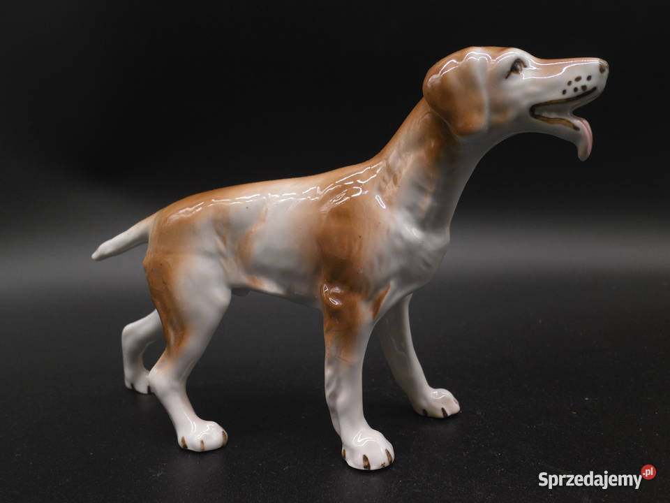 Figurka porcelanowa psa myśliwskiego łomonosow wielkopolskie Raszków