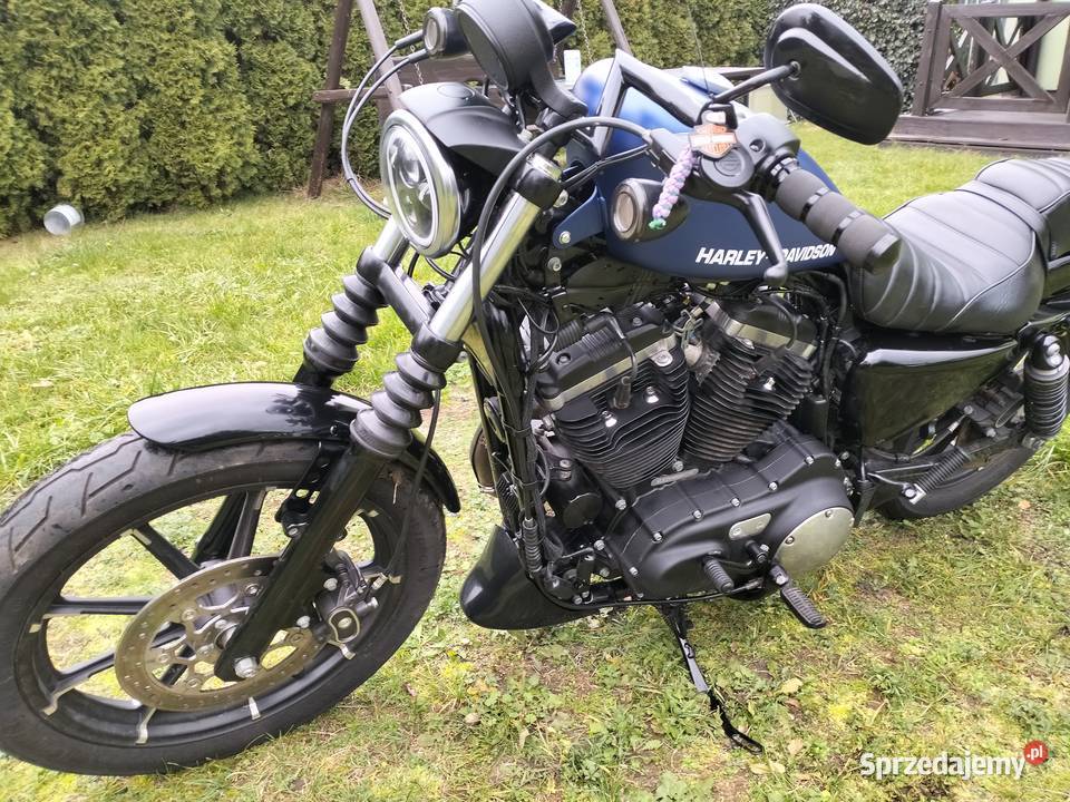 Harley Davidson sportster Iron wielkopolskie Ostrów Wielkopolski
