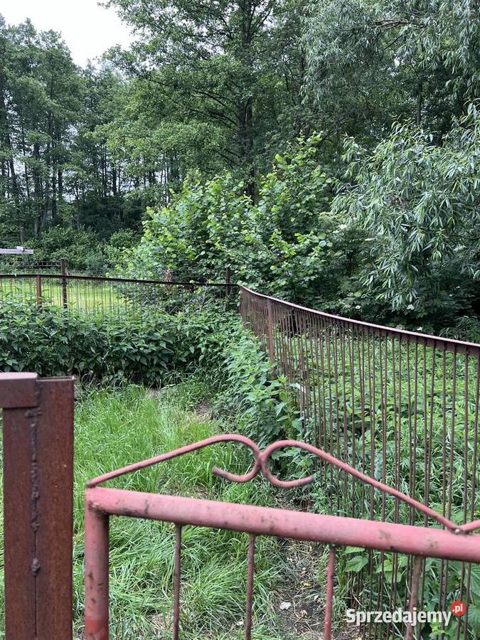 Kojec psów duży spawany mocny z furtką Dla psów Bukowiec