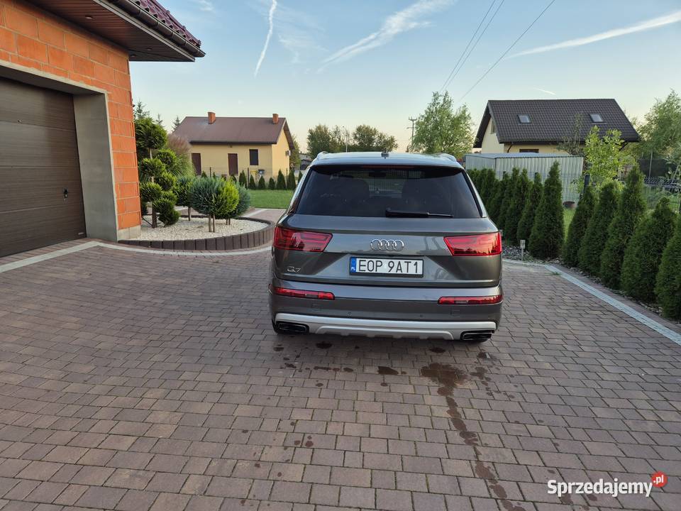 Audi nieuszkodzony Kamień