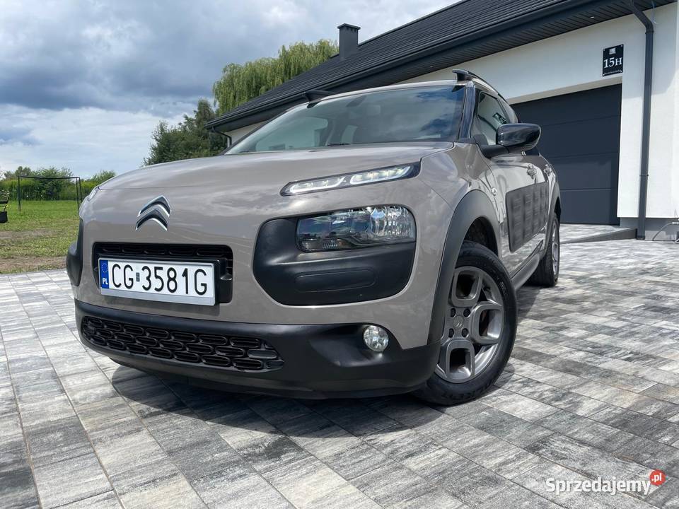 Kamera Nawigacja 12 Benzyna Cappucino C4 Cactus Grudziądz