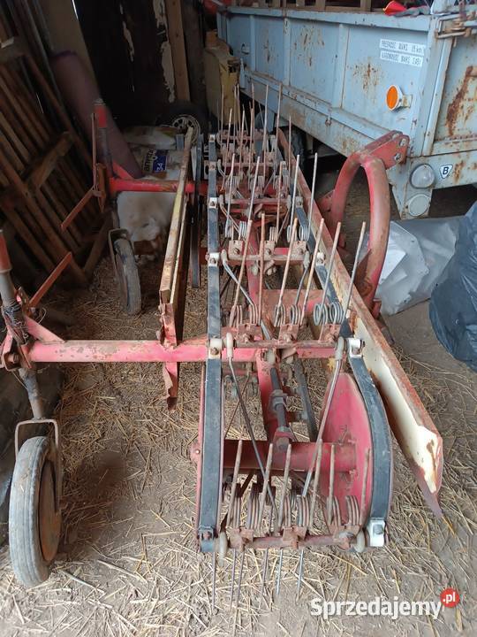 Przewracarka taśmowa na trzy rzędy Wielmoża