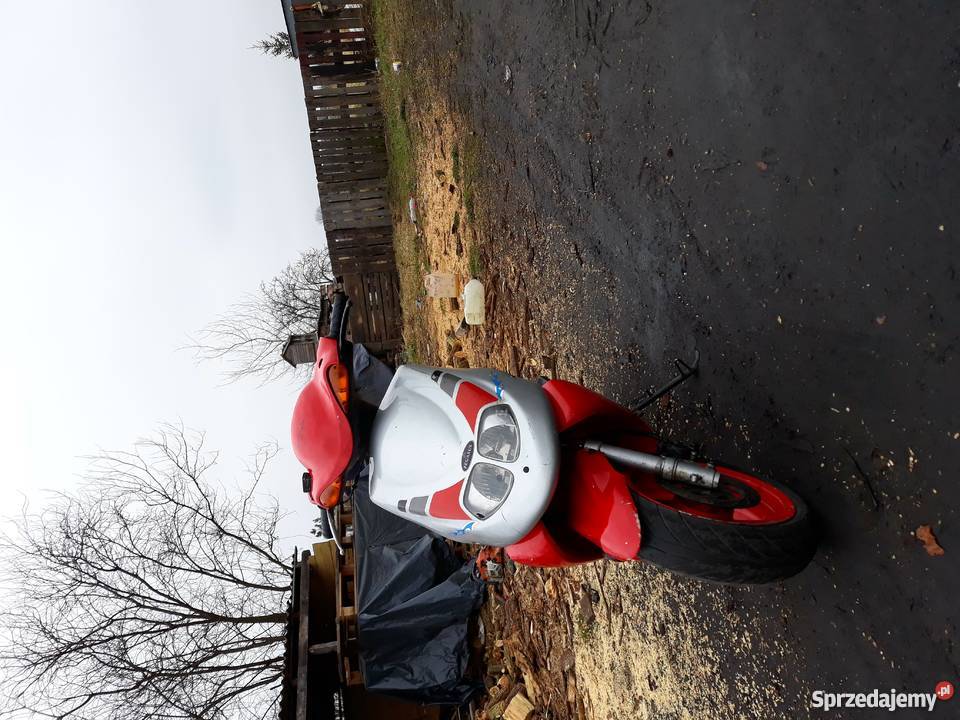 Skuter Pegasus Corona TGB świętokrzyskie Ostrowiec Świętokrzyski