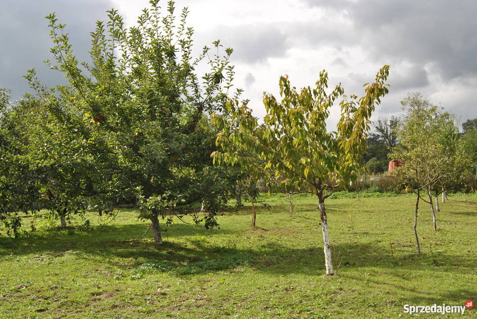 Sprzedam Duży Dom mieszkalny Gudzisz