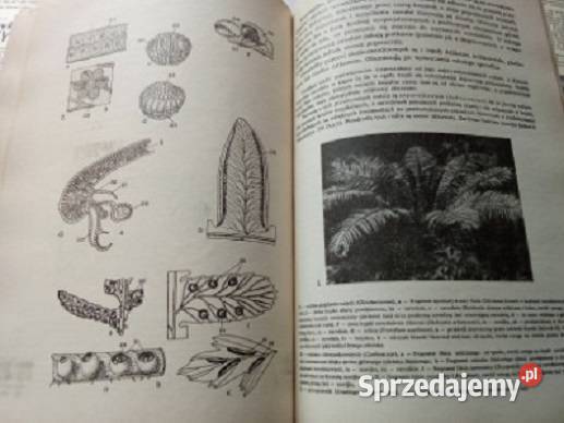 Botanika Podręcznik szkół wyższych Szweykowska łódzkie Łódź